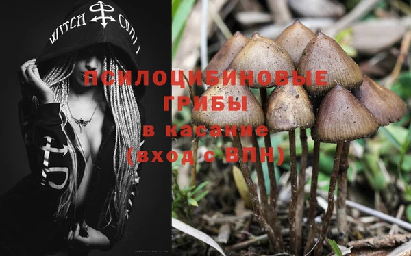 экстази Дмитриев