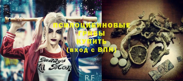 экстази Дмитриев