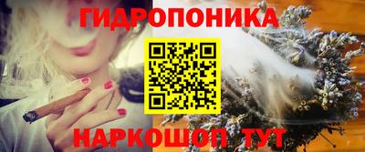 apvp Бийск
