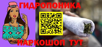 молекула духа Берёзовский