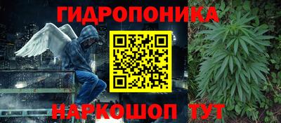 дмт Балахна