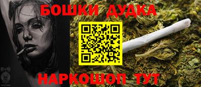 apvp Бийск