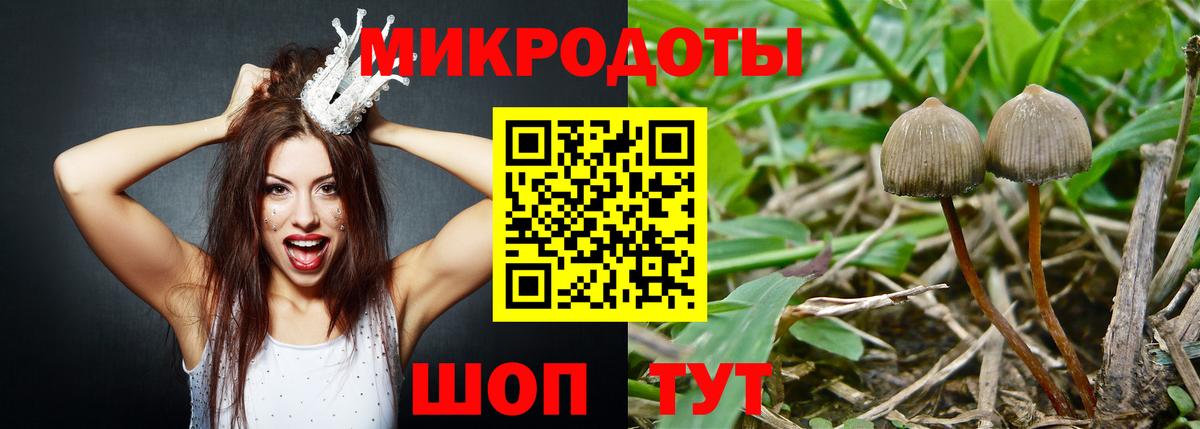 Еманжелинск  Галлюциногенные грибы Cubensis  Вход с VPN 